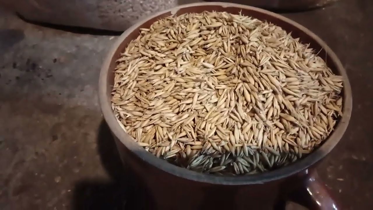 Jak Prawidłowo palić OWSEM VS PELLET!!! Zima 2026 Brak pelletu. NONSTOP@