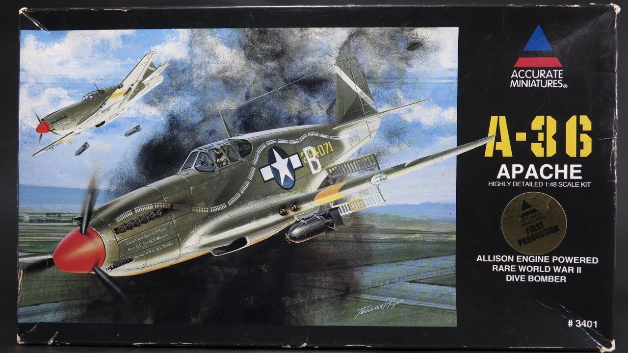 【P36 1/48 AccurateMiniatures】