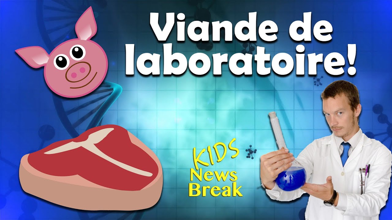 On parle de viande cultivée! - Kids News Break