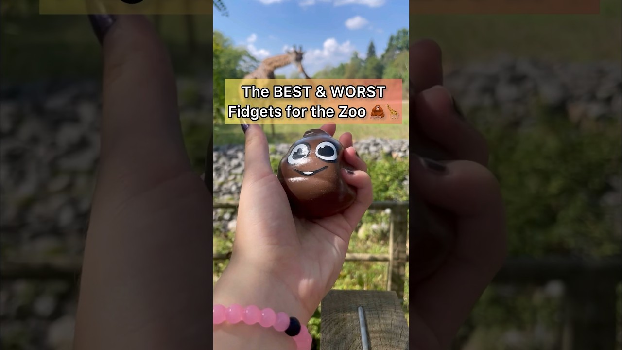 The BEST & WORST Fidgets to Bring to a Zoo! 🦓🦧🦒