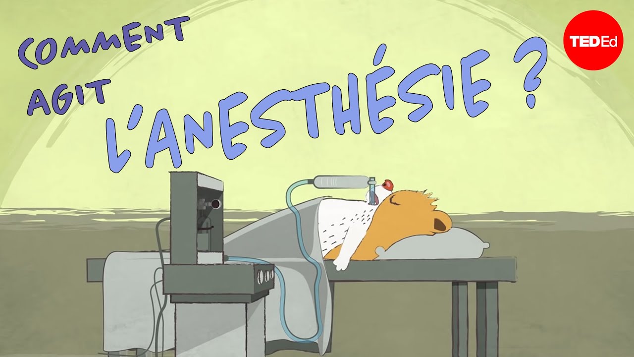 Comment fonctionne l'anesth&eacute;sie? - Steven Zheng