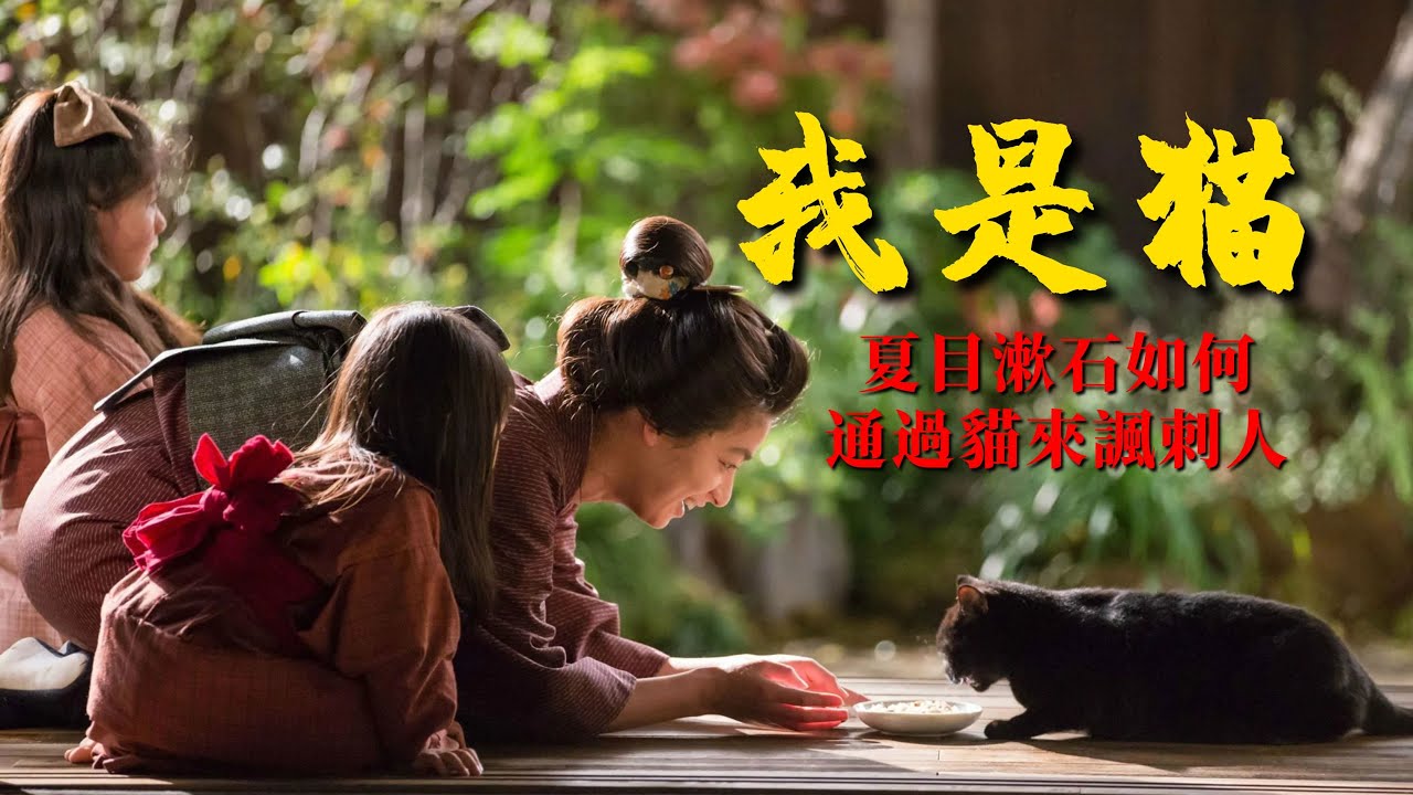 《我是貓》：夏目漱石如何通過貓來諷刺人，貓是如何嘲笑人類的【錦灰視讀49】