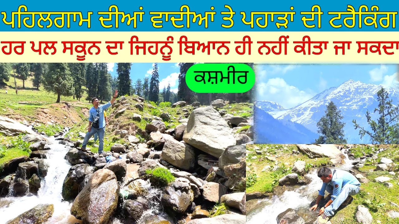 ਪਹਿਲਗਾਮ ਦੀਆਂ ਵਾਦੀਆਂ ਤੇ ਪਹਾੜਾਂ ਦੀ ਟਰੈਕਿੰਗ:ਕਸ਼ਮੀਰ|Harbhej Sidhu|Phelgam kasmir|Mountain tracking|