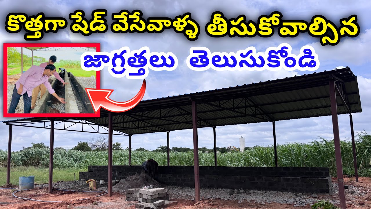కొత్తగా షేడ్ వేసేవాళ్ళు తీసుకోవాల్సిన జాగ్రత్తలు | Dairy Shed Construction Ideas 