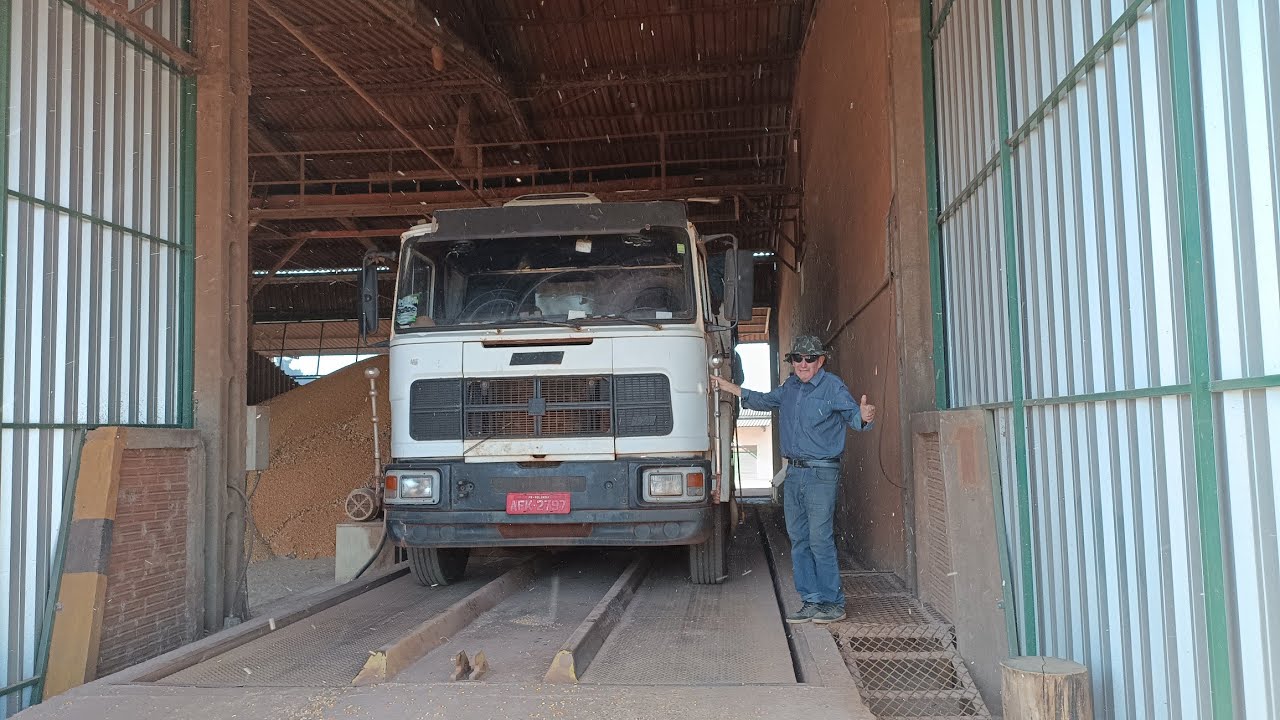 FIAT 190 em plena atividade na safra do milho 🌽