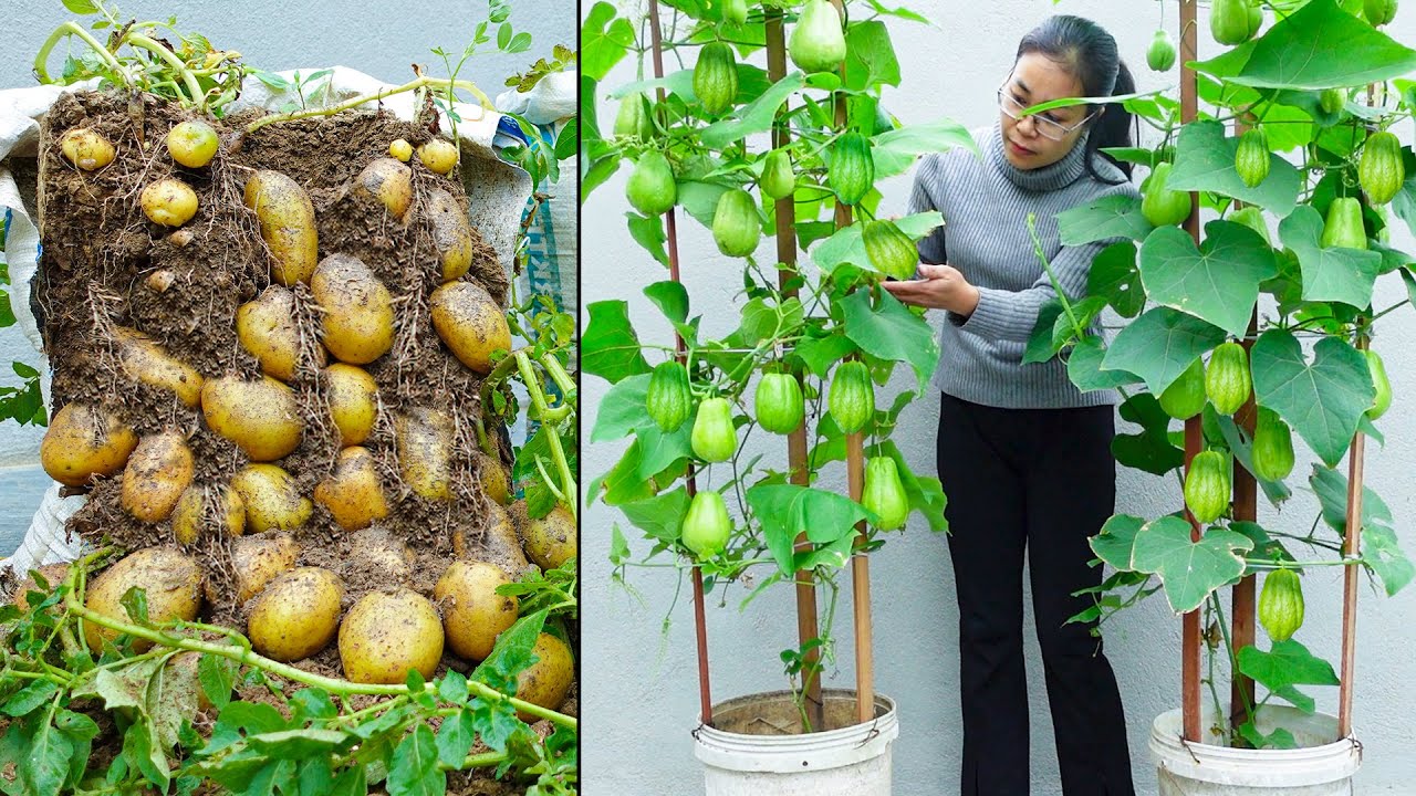 1001 Gardening Tips for Beginners - TN Gardening