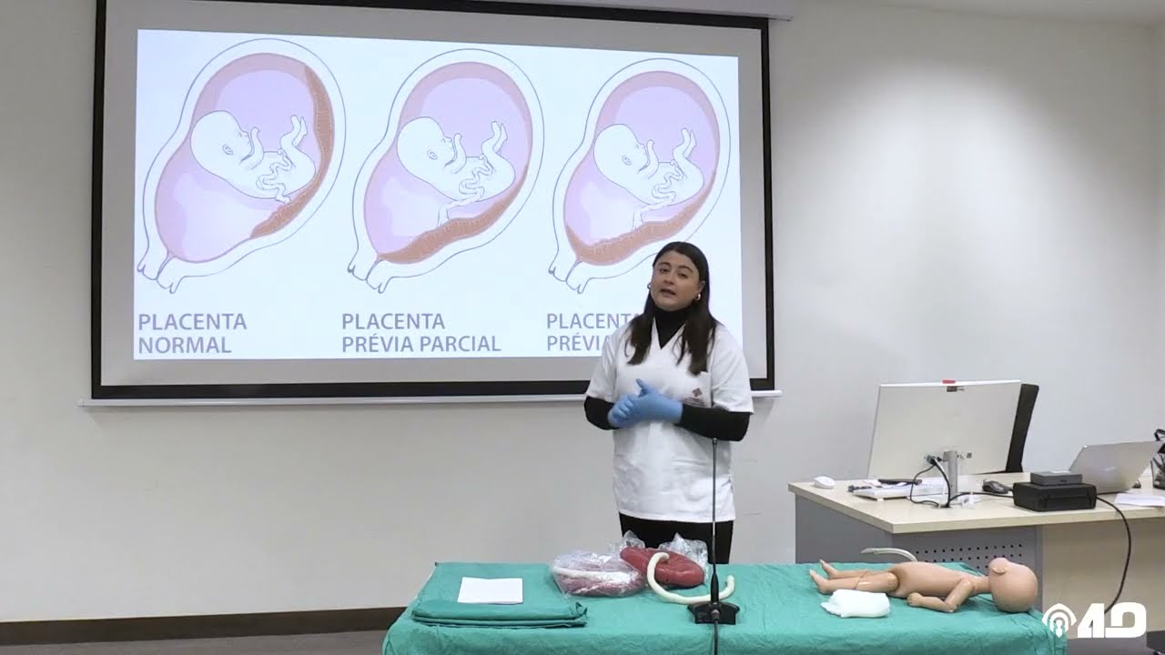 Seminario 2 - Anatom&iacute;a y fisiolog&iacute;a de la placenta y el cord&oacute;n umbilical
