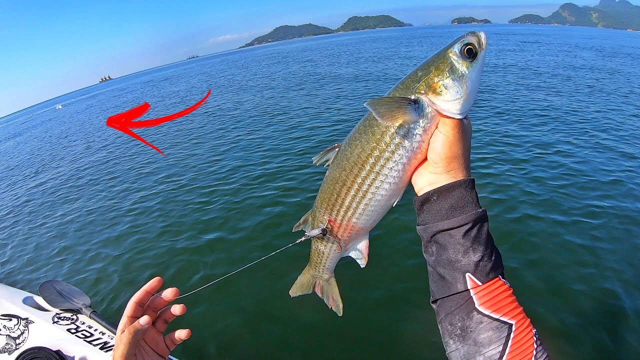 NUNCA VI TANTO PEIXE! PESCARIA DE TAINHA!