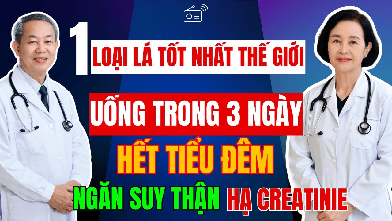 Người Cao Tuổi: Dùng 1 LOẠI LÁ Dân Gian Này HẾT TIỂU ĐÊM, Ngăn Suy Thận, Hạ Creatinine, Ngủ Ngon!