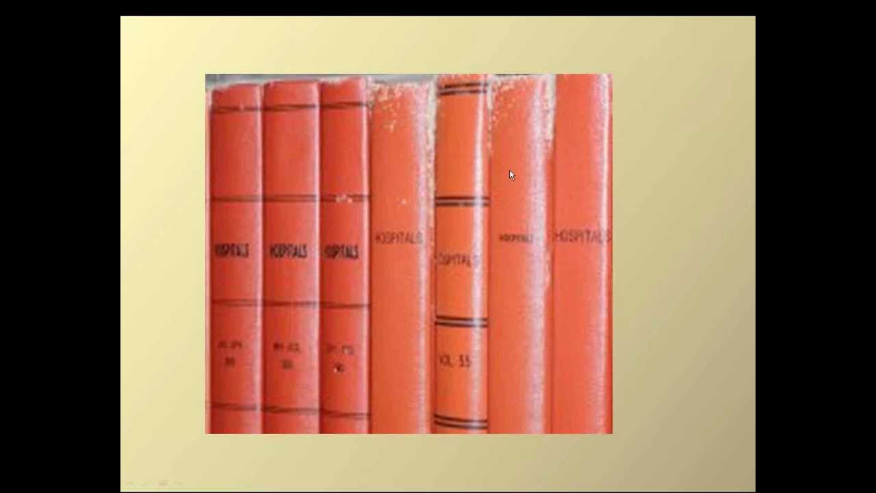 Mold Prevention and Remediation