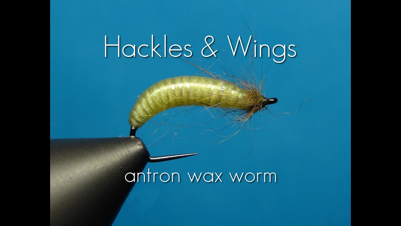 Fly Tying Antron Wax Worm | Hackles & Wings