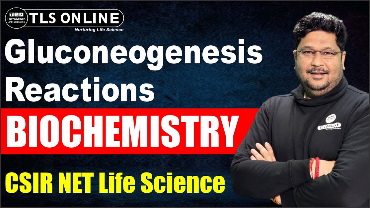 Gluconeogenesis Reactions | Biochemistry | CSIR NET Life Sciences | Ashish Kr Dwivedi |