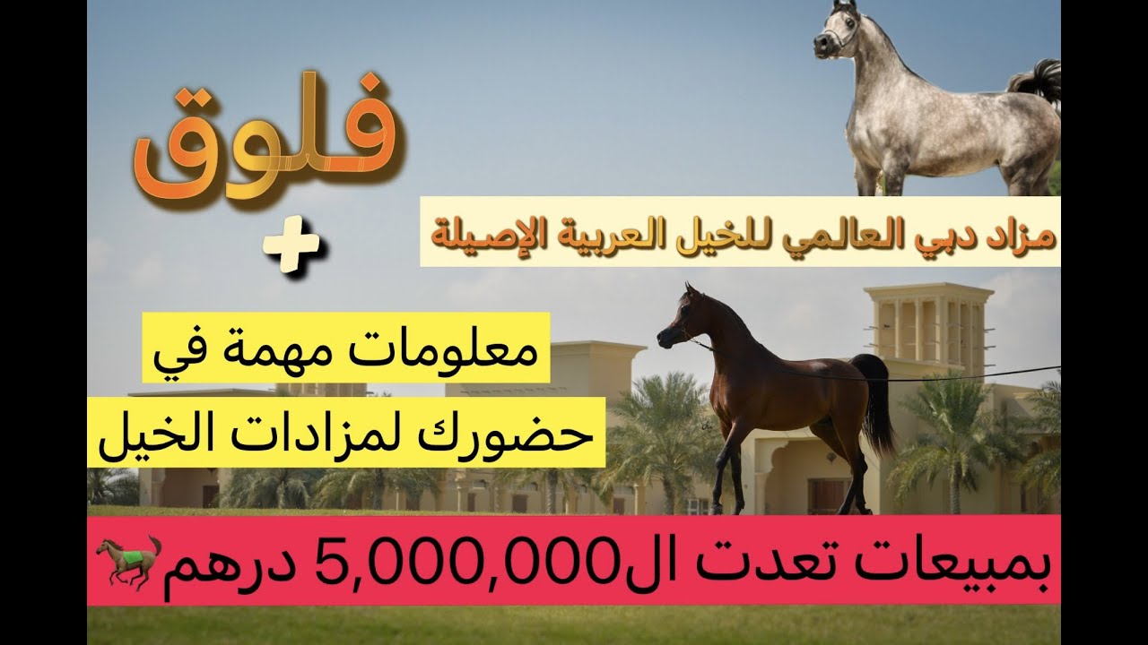 #فلوق مزاد مربط دبي العالمي للخيل العربية الأصيلة بمبيعات تعدت 5,000,000 مليون درهم 😍 ومعلومات مهمة