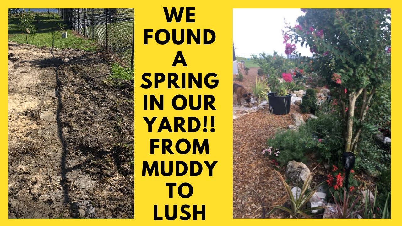Water Fountain Spring in a Sustainable Permaculture Garden Food Forest Contains a Surprise Spring.