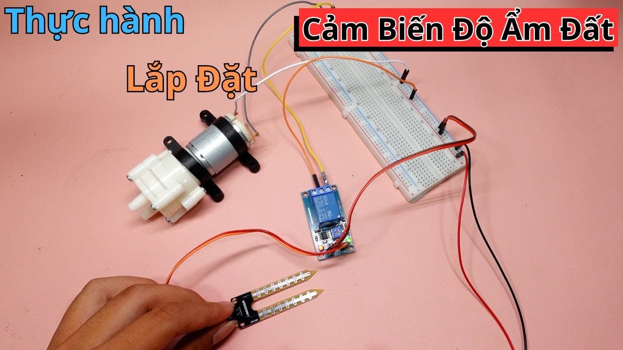 [Công nghệ 8 - CTST] Lắp ráp mạch điện điều khiển sử dụng module cảm biến độ ẩm đất | Điện tử DAT