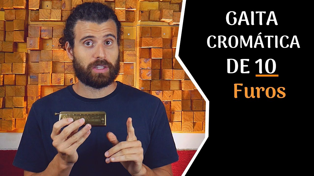 GAITA CROMÁTICA DE 10 FUROS: qual a diferença para a harmônica de 48 vozes