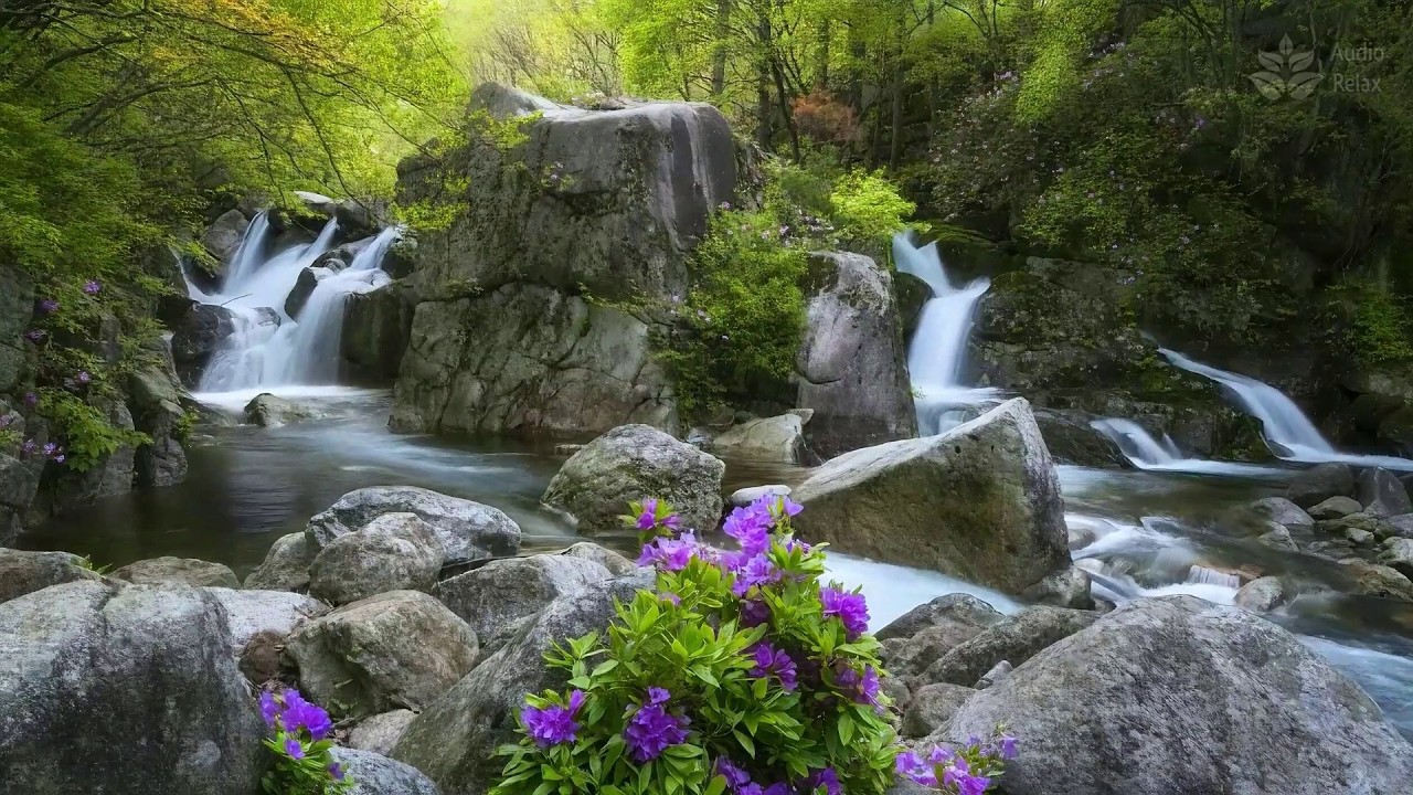 Mystical Forest Cascades | 10 Hours of Pristine Water Sounds for Meditation & Zen