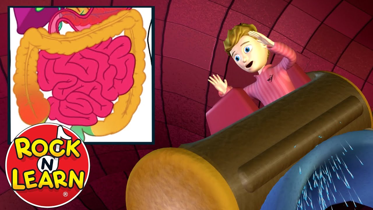 Digestive System Explained for Kids &ndash; Log Ride Song by Rock 'N Learn