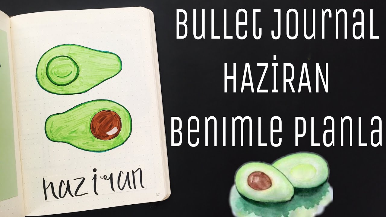 Bullet Journal Haziran 2020 / Bujo June Setup | Planlayıcı Ajanda