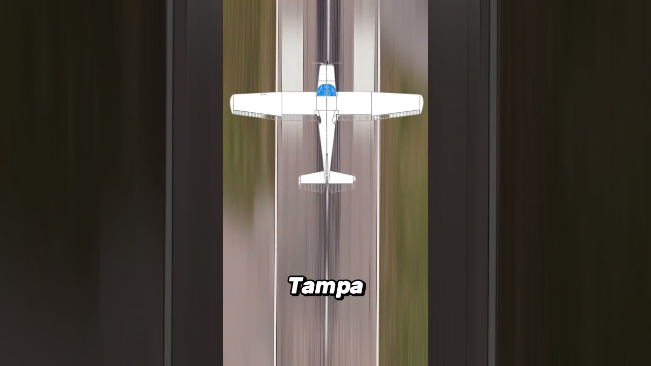 The Shocking Story of the Tampa Plane Crash Copycat