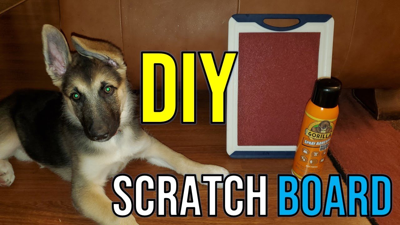 Inexpensive DIY Dog Scratch Board