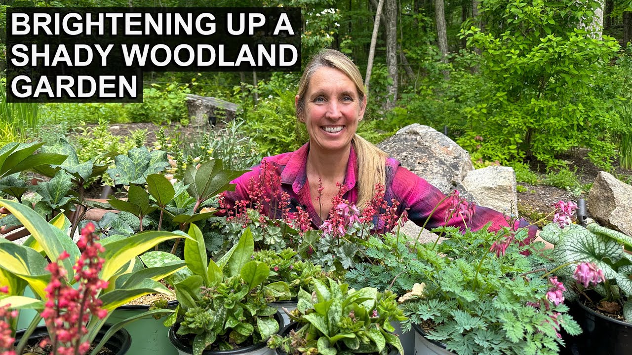 7 Shade Loving Plants to Spruce Up a Shady Woodland Garden
