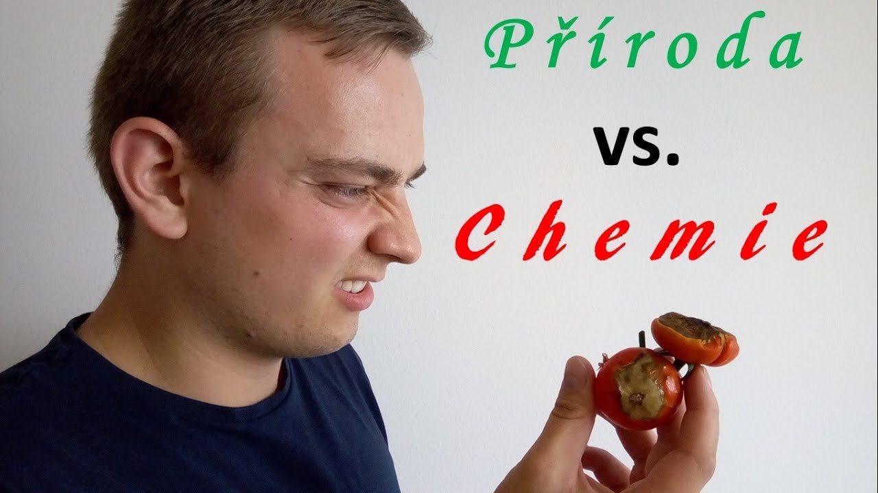 Green Hell - #26 Nedostatek vápníku u rajčat aneb pomáhá příroda, nebo chemie?