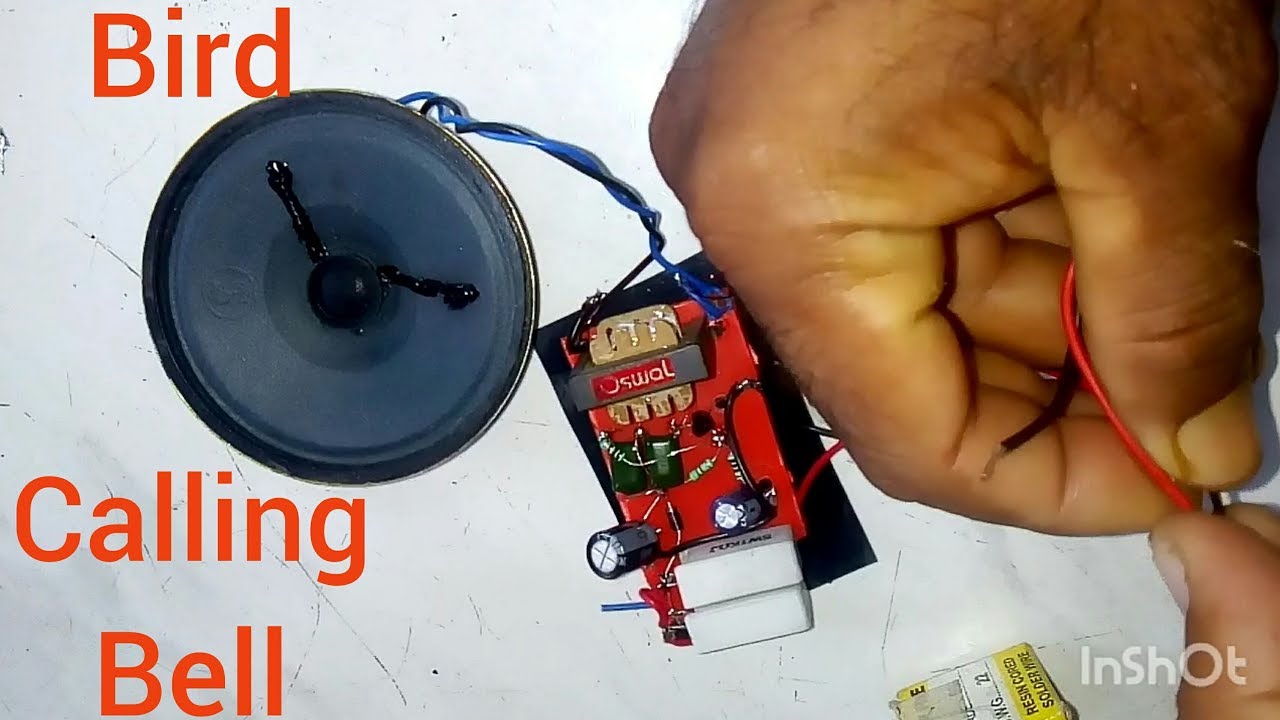 Bird sound calling Bell making