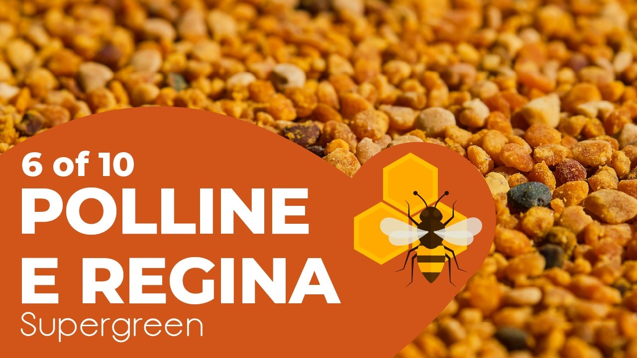 6 of 10 - Apicoltura - Come estrarre il polline da un arnia e come avviene la scelta dell'ape regina