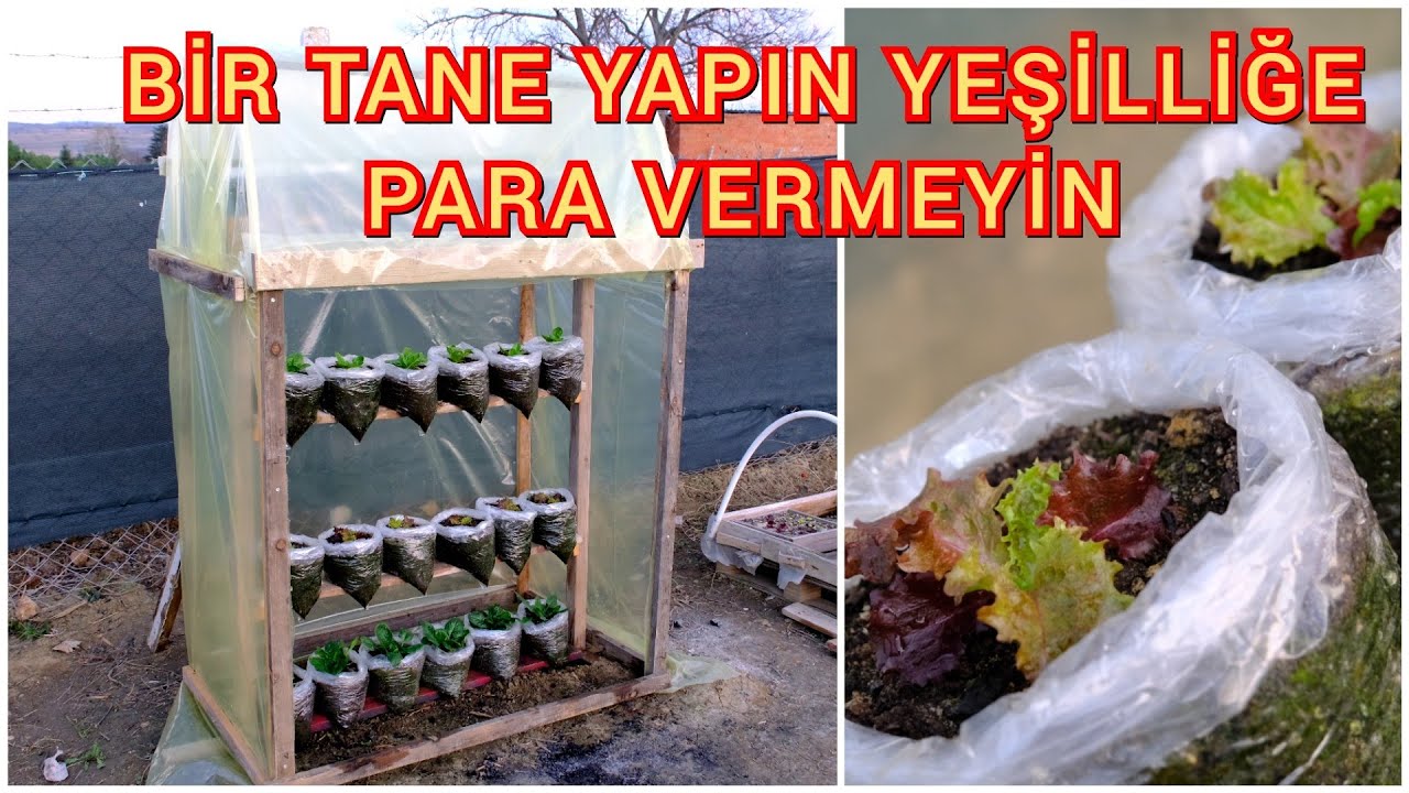 Küçük Sera Yapımı ve Poşette Sebzeler, Small Greenhouse Construction and Vegetables in Bags
