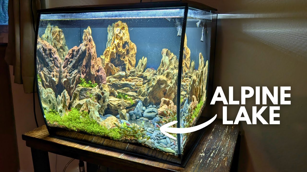 My Most EPIC Fluval Flex Build Yet : A mountain lake