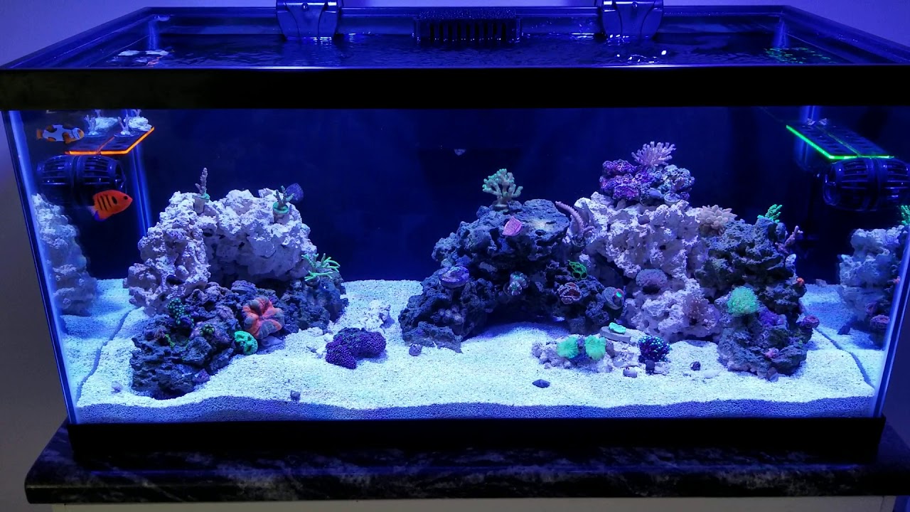 40B end of first week