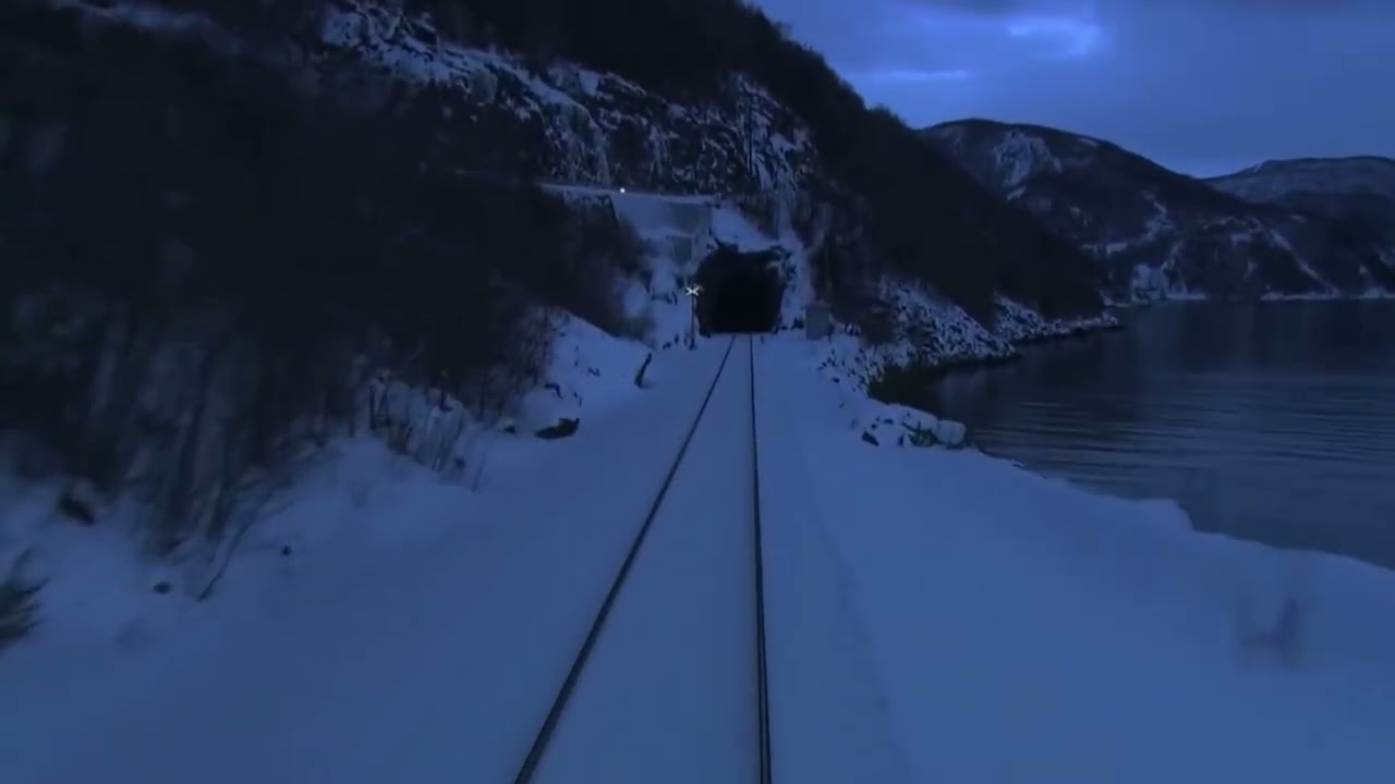 Deep Sleep Train Sounds on Frozen Night 🚂 10 Hours Calm Snowy Landscape (Dark Ambience)