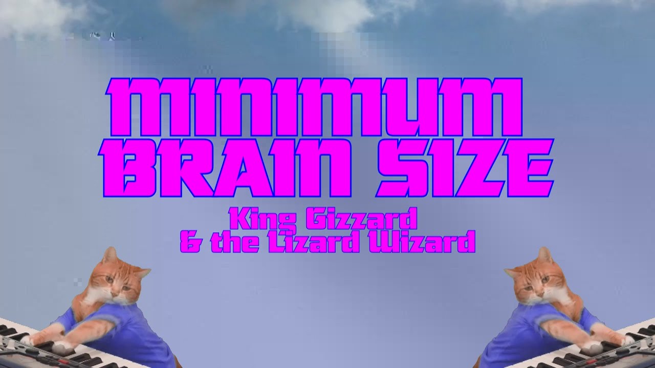 Minimum Brain Size (King Gizzard & the Lizard Wizard) - Karaokê