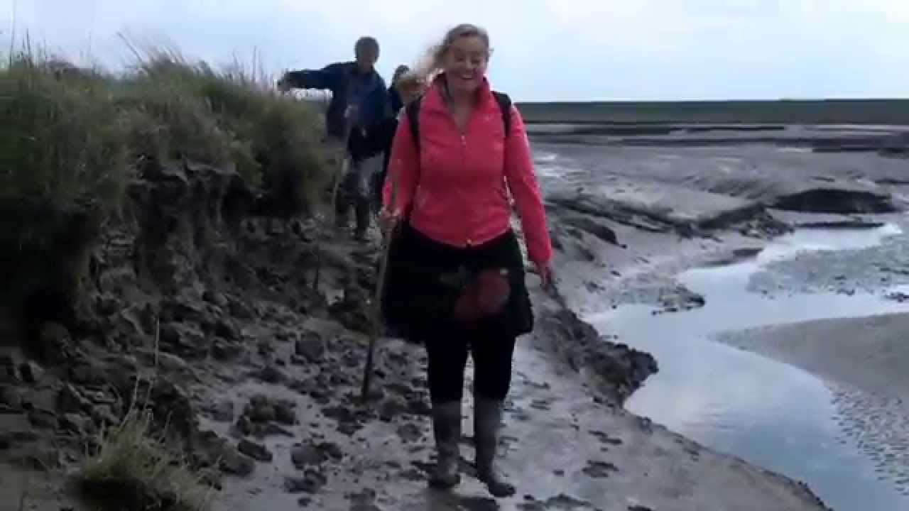 modderlopen in het land van saeftinghe