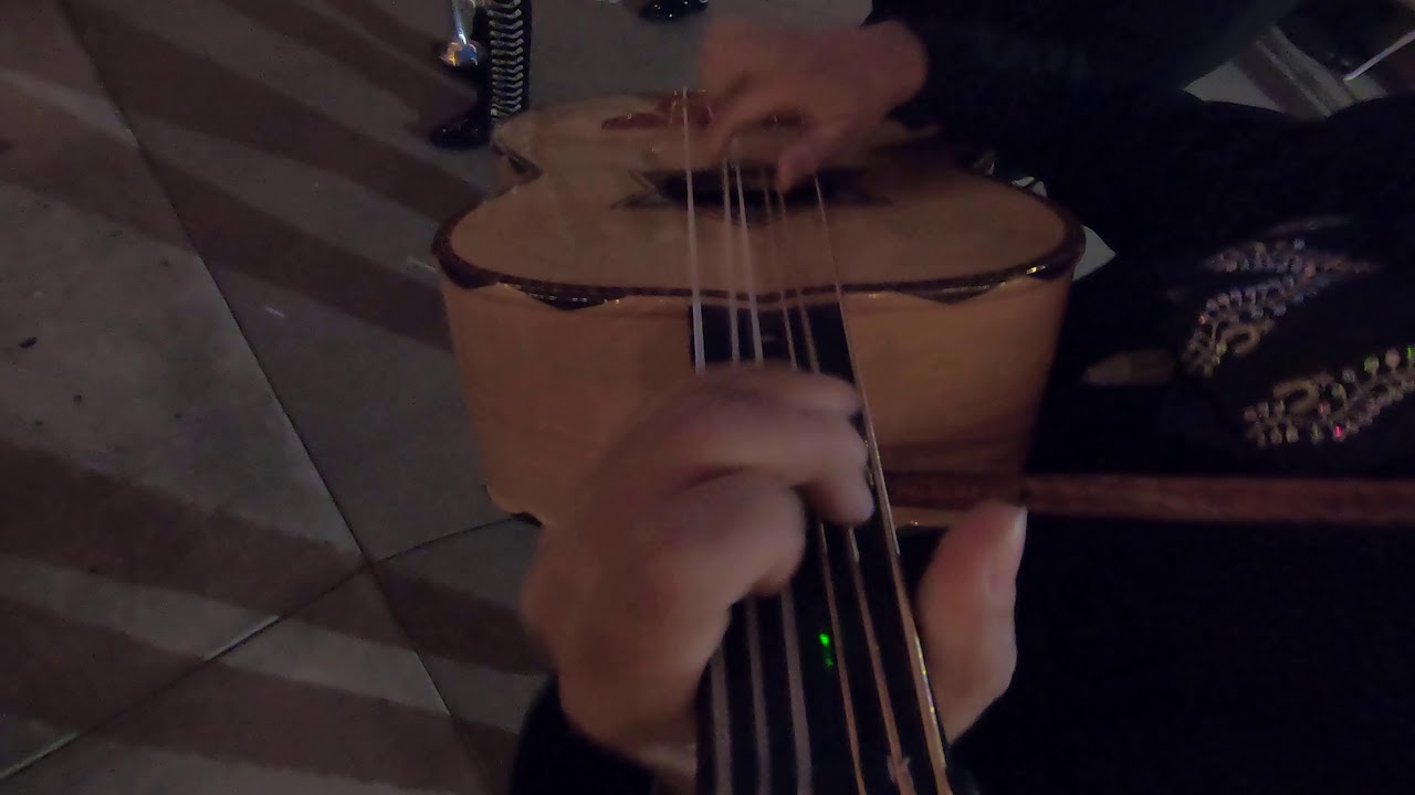 Mariachi Rey De Mexico - Albur De Amor