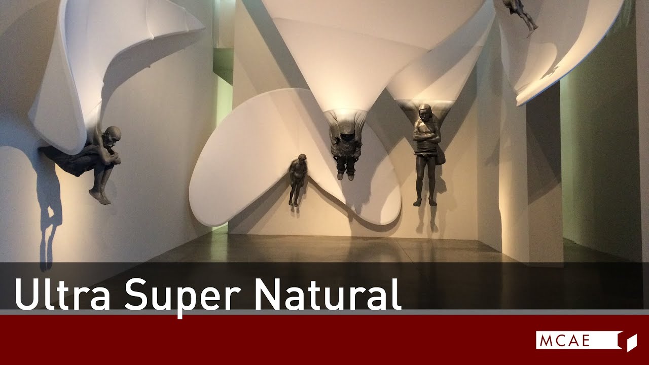 Výstava Ultra Super Natural | Centrum současného umění DOX