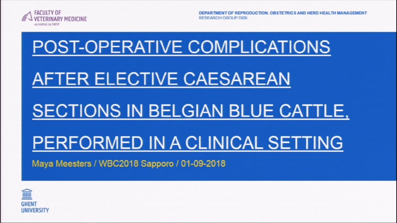 Post-operative complications after elective caesarean sections in Belgian Blue cattle...