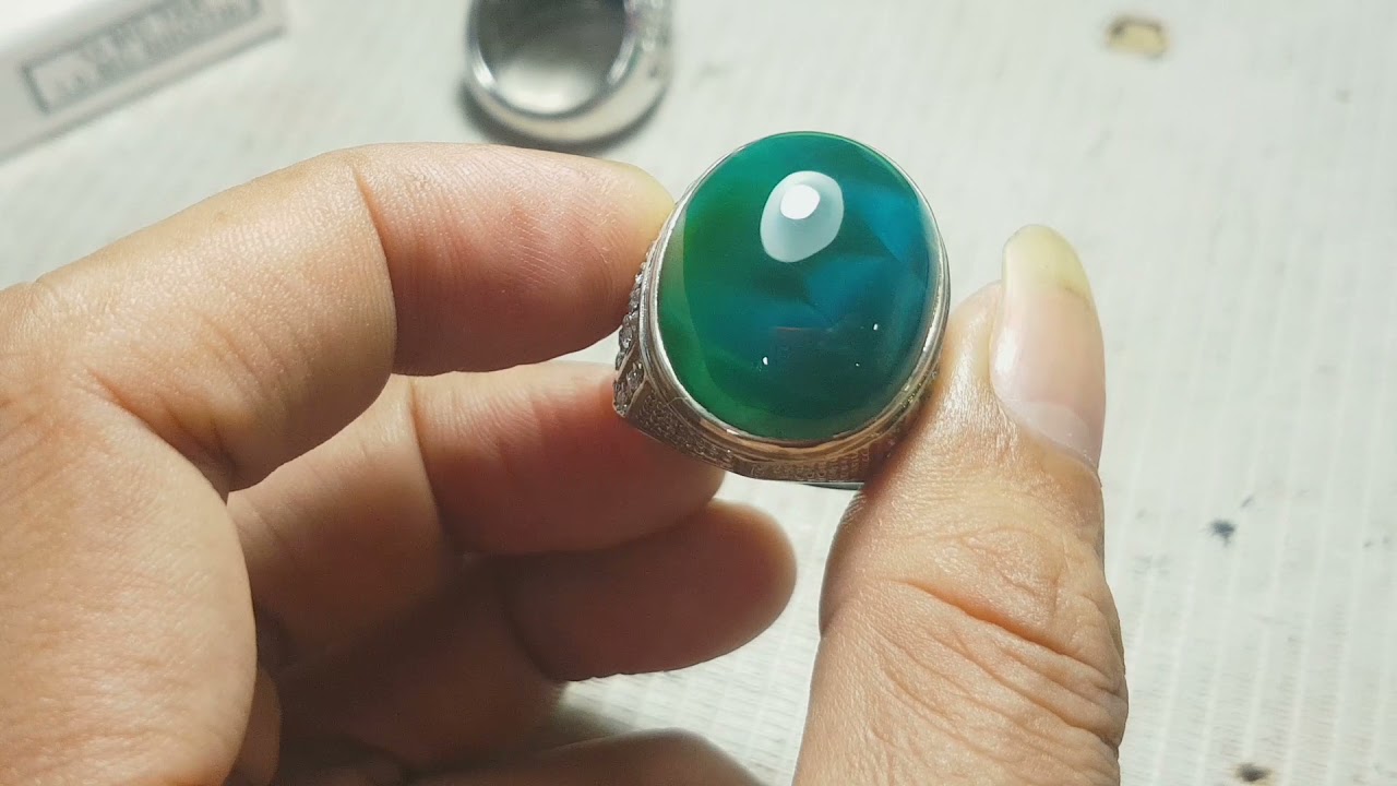 KURA KURA BACAN ☎️WA: 081384469959 #BacanKura #Kurakura #Gulaukura #Batubacan #Bacangulau #Batuakik