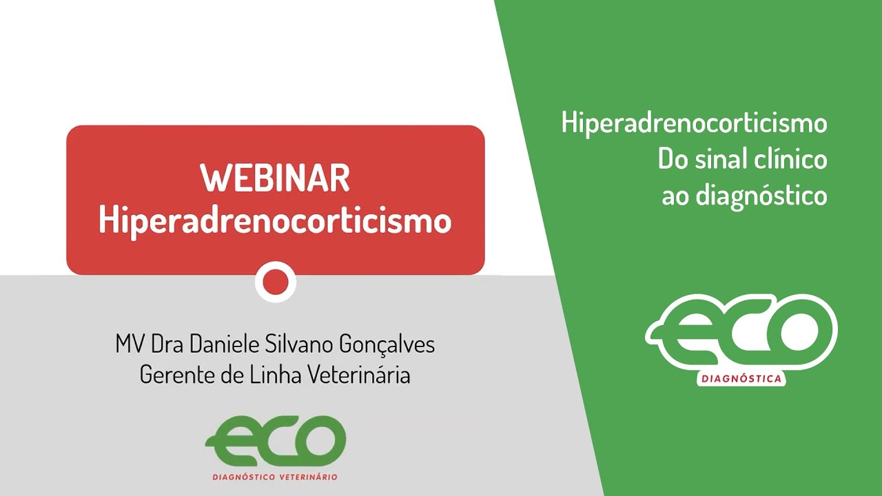Webinar sobre Hiperadrenocorticismo - Do sinal clínico ao diagnóstico [MV Felipe Gazza Romão]