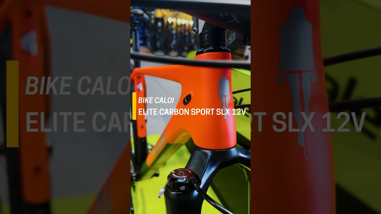 CALOI ELITE CARBON SPORT SLX 12v 🔥🔥🔥