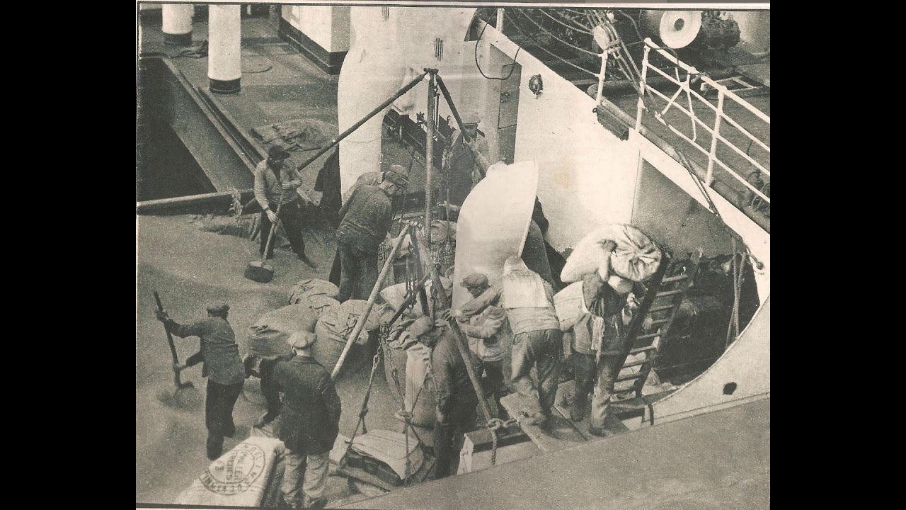 De Antwerpse dokwerker