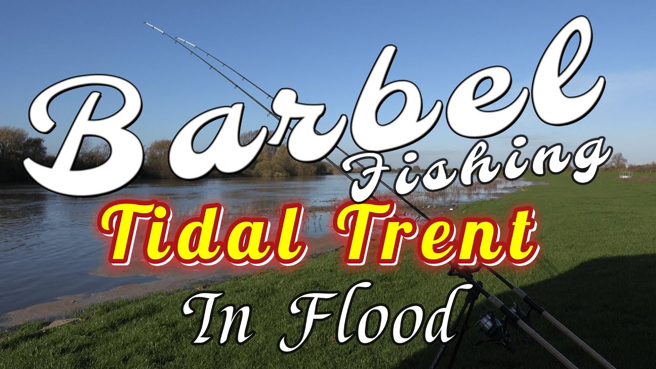 HUGE BARBEL DESTROYS MY NET