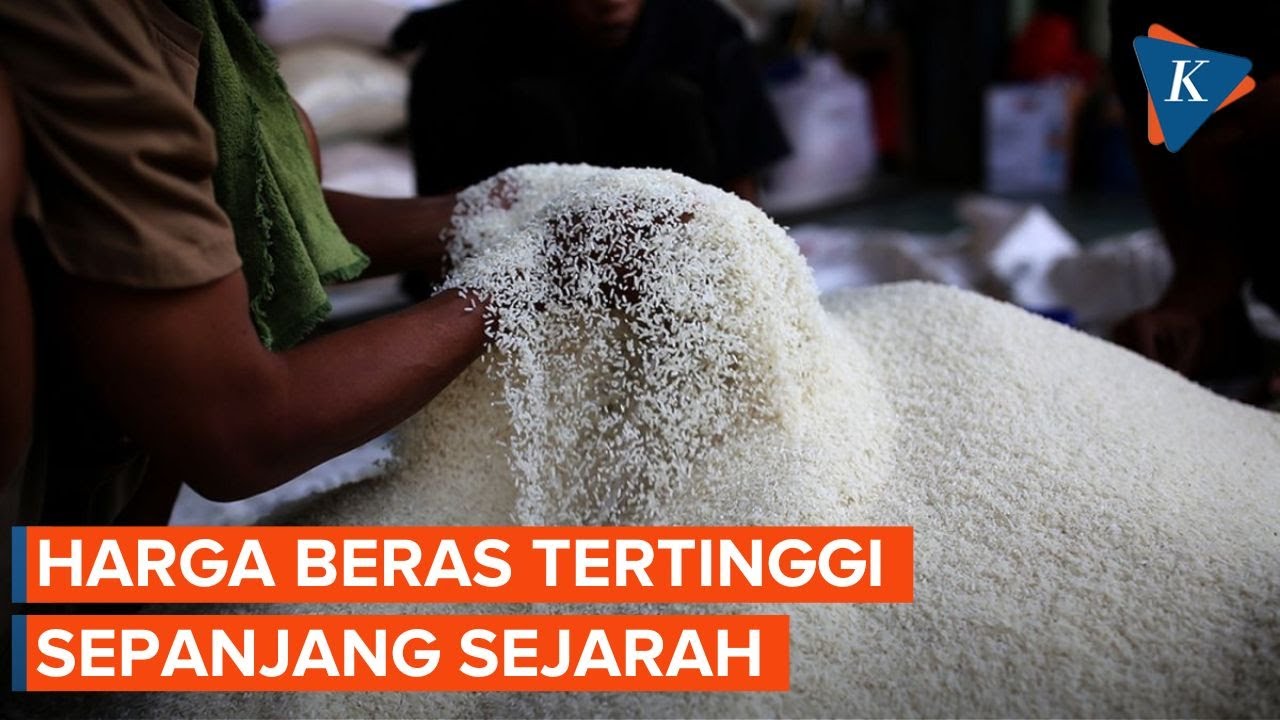 Rekor! Harga Beras Februari 2024 Tertinggi Sepanjang Sejarah