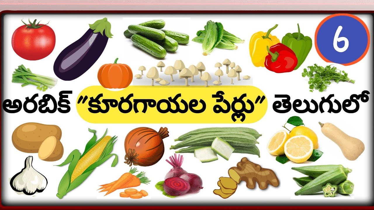 అరబిక్ 