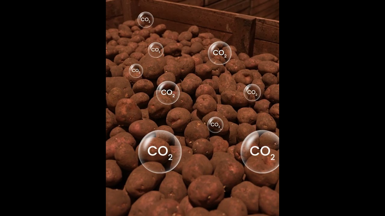 Innovative & Quality Air Solutions for Cold Storage Facilities (Mobile Version)