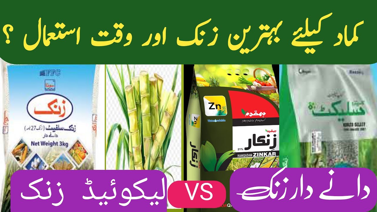 How important is the use of zinc in increasing sugarcane production?