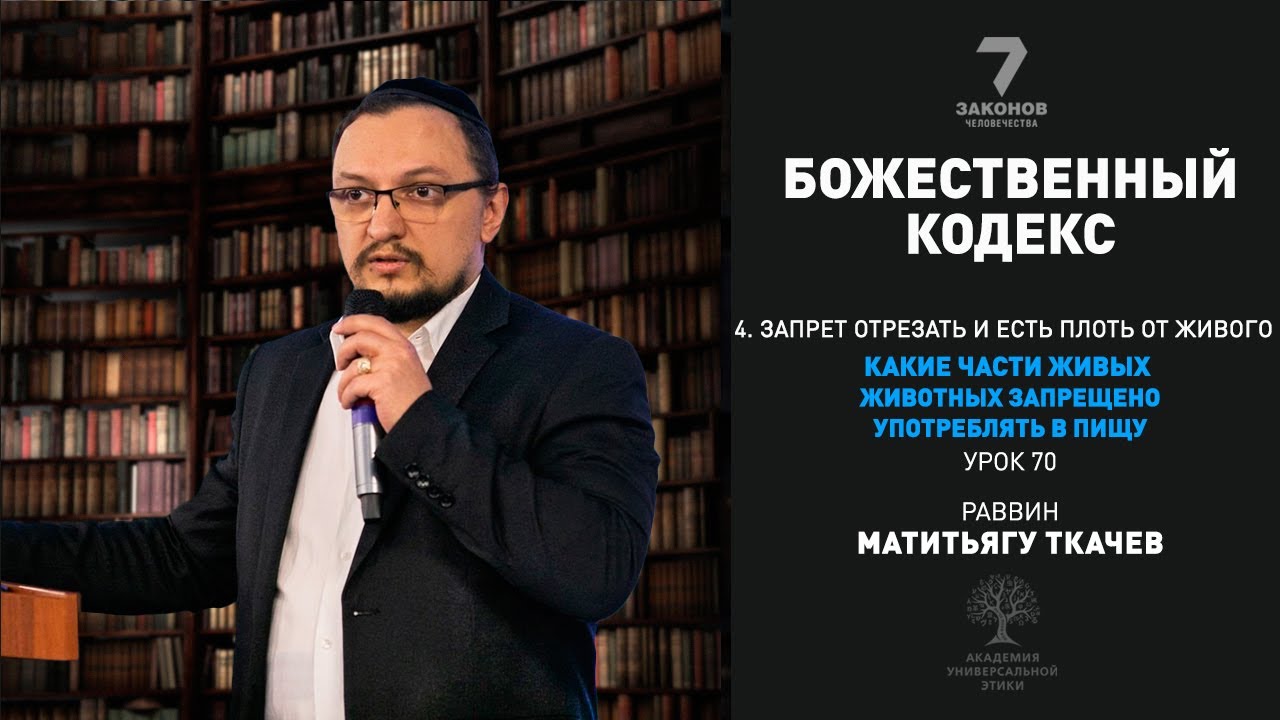 Часть 4.Запрет есть плоть от живого. Какие части живых животных запрещено употреблять в пищу.Урок 70