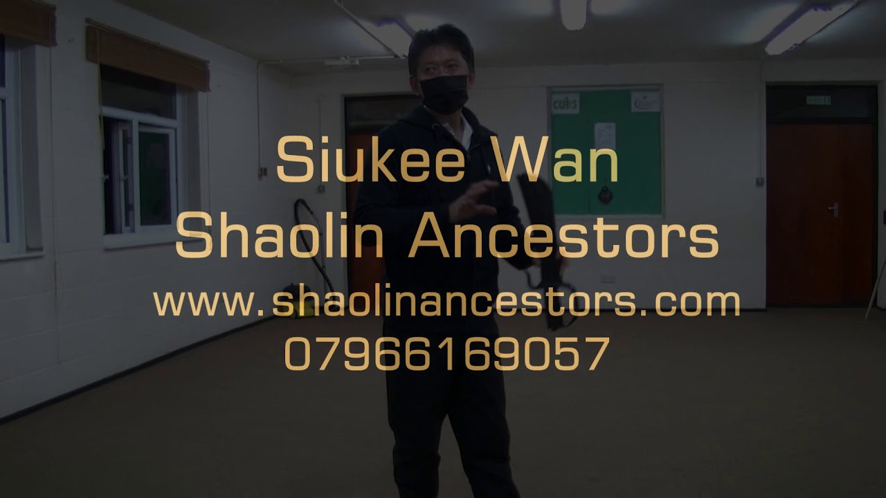 Wing Chun Twin Knives Training