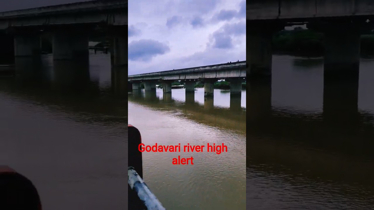 #godavari #flood #monsoon #latestnews #song #news #rain #mumbaiheavyrain